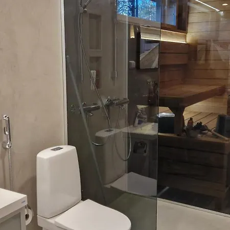 Шале Levi Lakeview Ahvenranta Киттиля